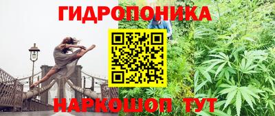 спиды Заводоуковск